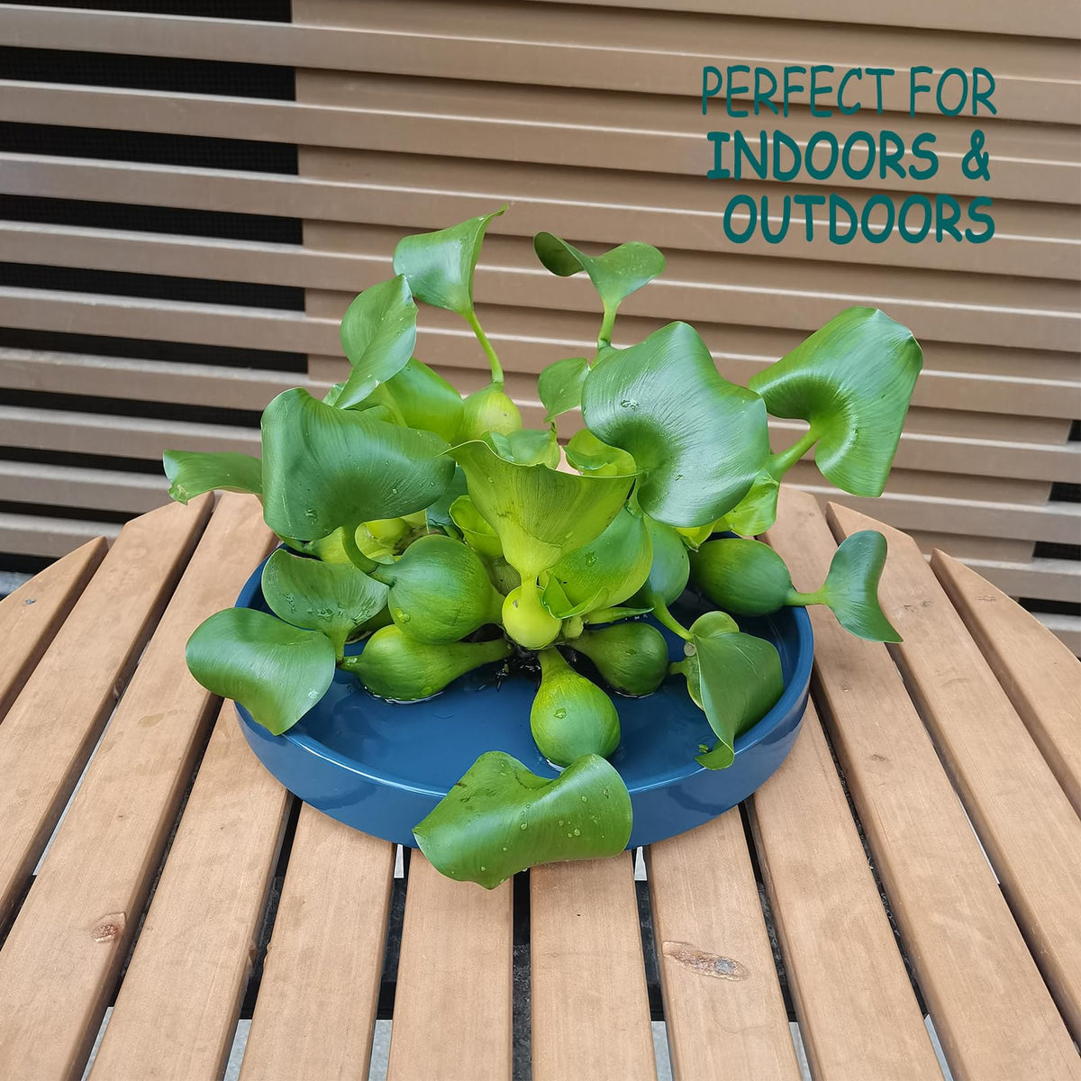 Fzfeiyy ceramic plant saucer 12-inch blue supports outdoor pots with moisture control.