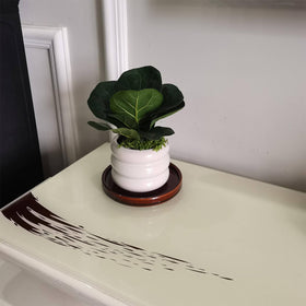 Fzfeiyy ceramic plant saucer 5 inch pack reduces mess on furniture.