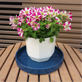 Fzfeiyy ceramic plant saucer 7-inch blue minimalist tray keeps soil drips contained.