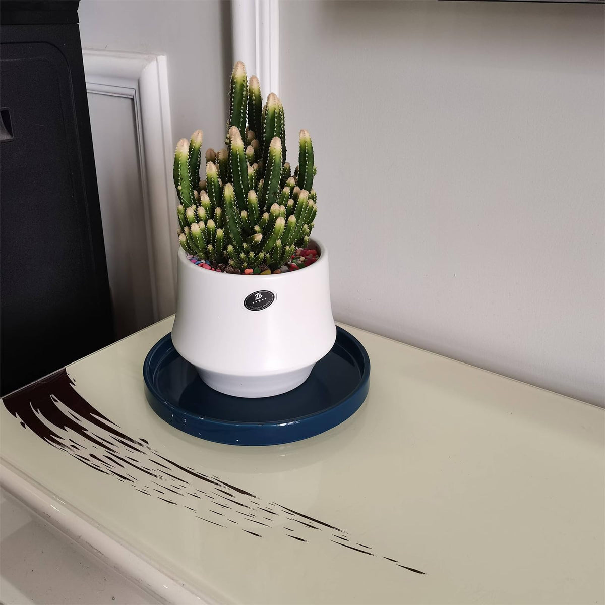 Fzfeiyy indoor-outdoor plant tray in blue complements decor.