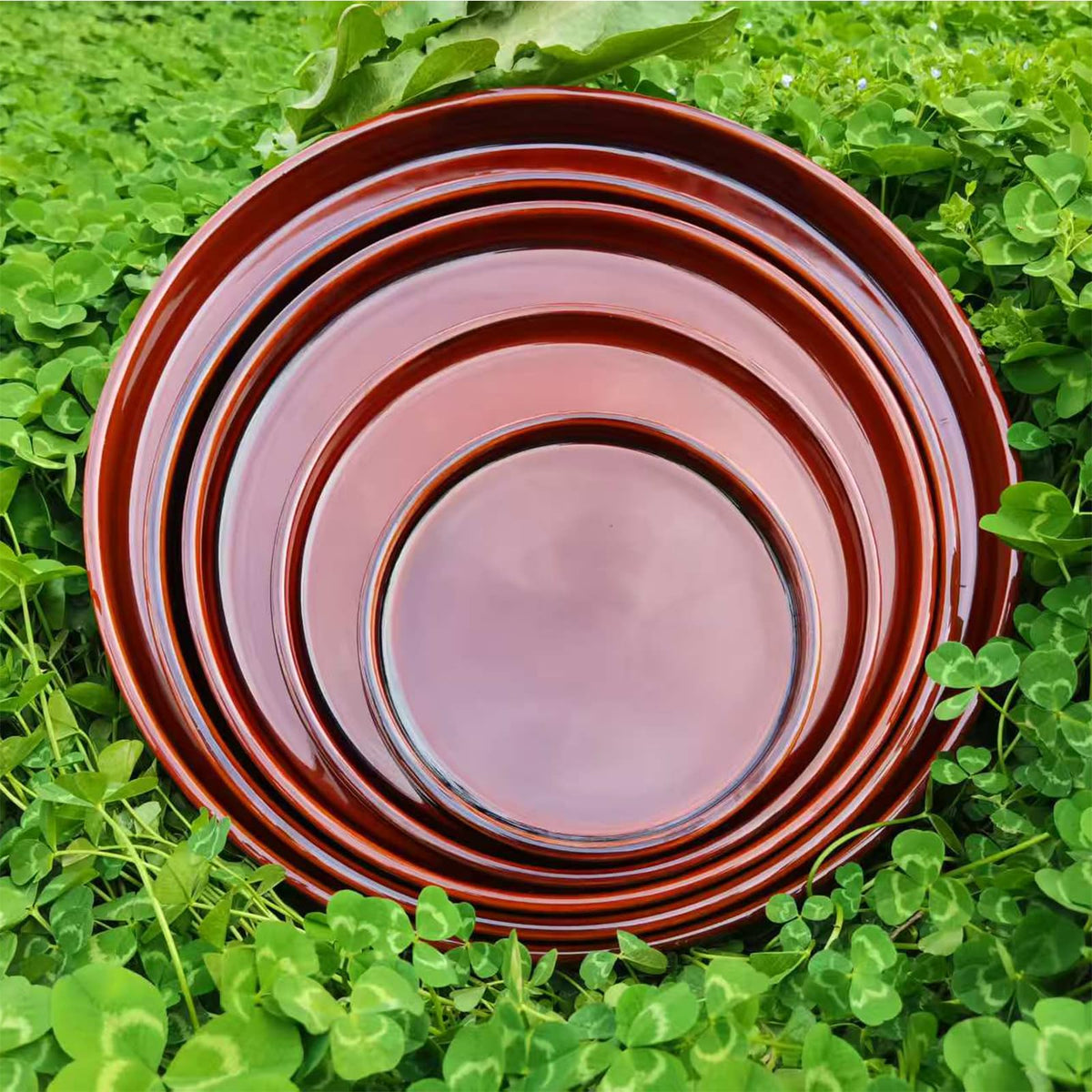 Fzfeiyy sturdy ceramic saucer supports long-lasting plant display.