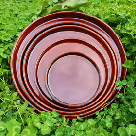 Fzfeiyy sturdy ceramic saucer supports long-lasting plant display.