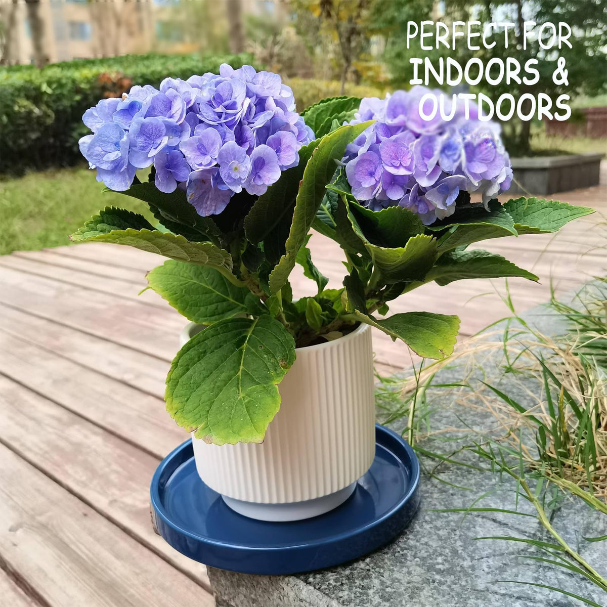 Fzfeiyy blue drip tray for plants helps keep indoor spaces tidy.
