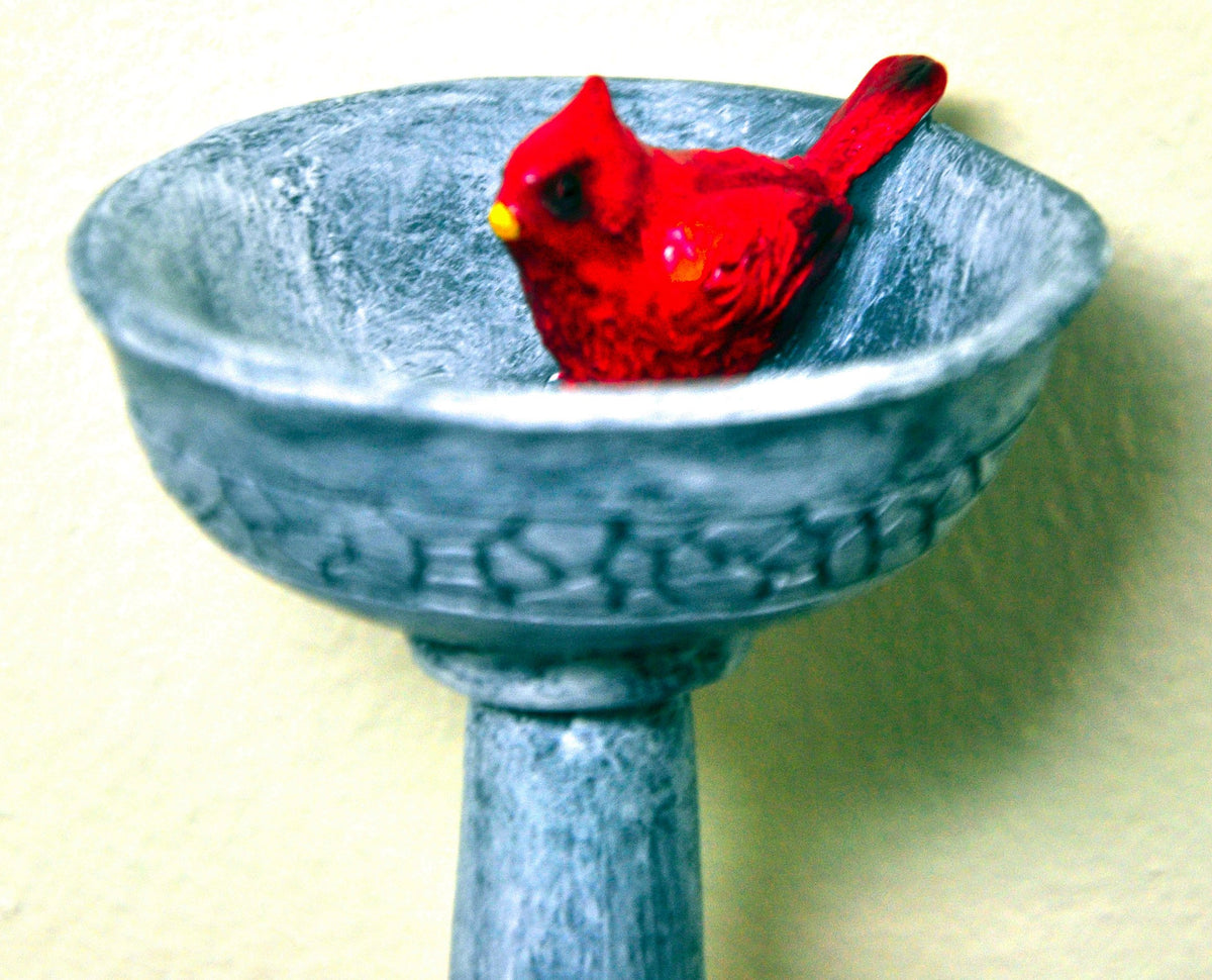 G and F Products birdbath detail features elegant cardinal design for small garden scenes.