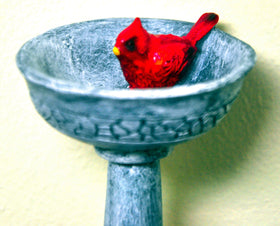 G and F Products birdbath detail features elegant cardinal design for small garden scenes.