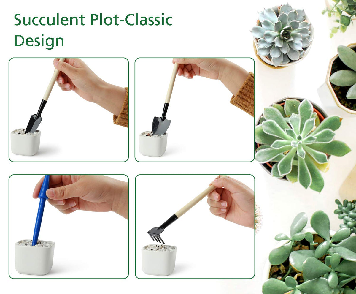 G GOOD GAIN compact desk-friendly gardening kit for office plants.
