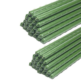 G-LEAF garden stake 6 ft length for sturdy plant support.