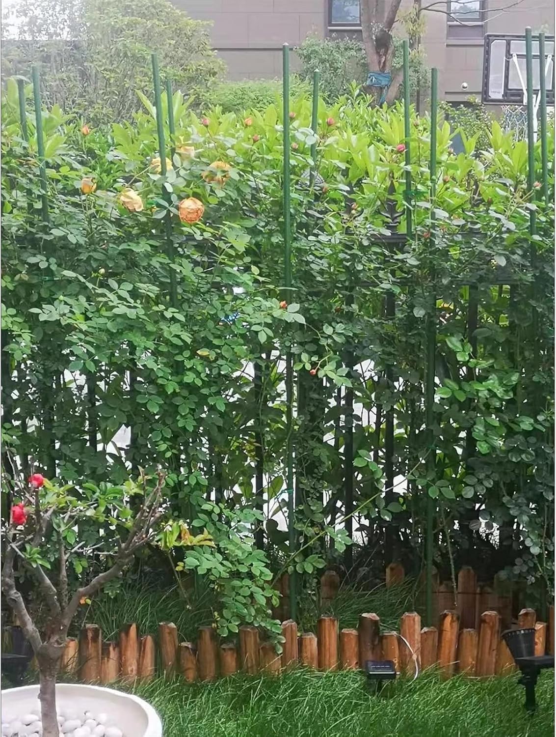 G-LEAF versatile stake for tomatoes, cucumbers, beans, or trees.
