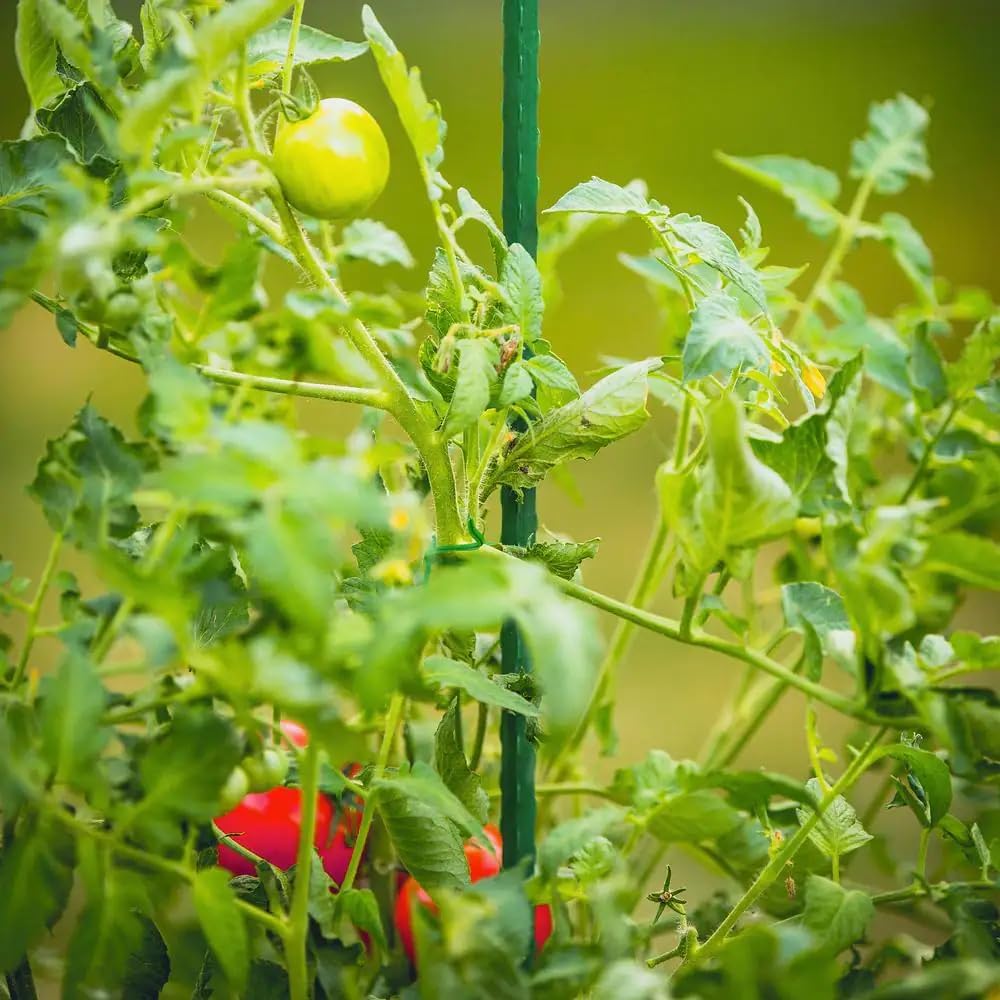 G-LEAF steel core stake demonstrates lasting strength for tall plants.
