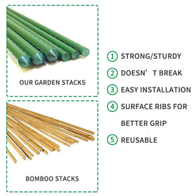 G-LEAF tomato stake supports tomato plants upright.