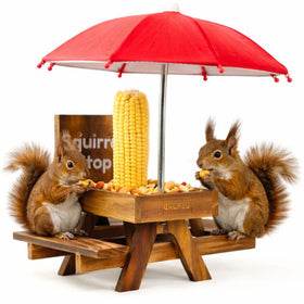 GACREU Squirrel Feeder Picnic Table with umbrella offers shade as wildlife feeds.