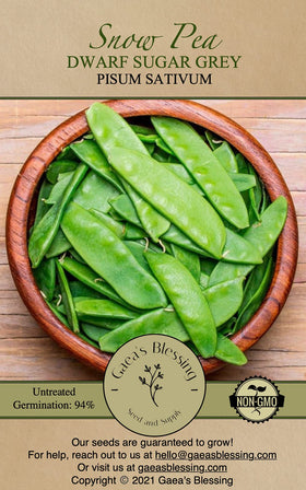 Gaea's Blessing snow pea plant with tall habit and fragrant flowers, ready for harvest.