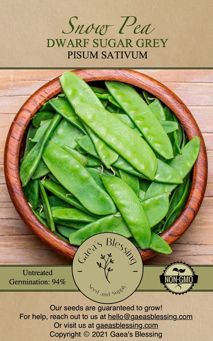 Gaea's Blessing snow pea plant with tall habit and fragrant flowers, ready for harvest.