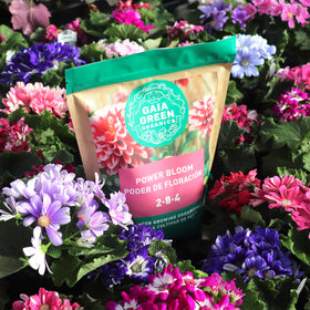 Gaia Green Power Bloom non-granulated pouch for steady release.