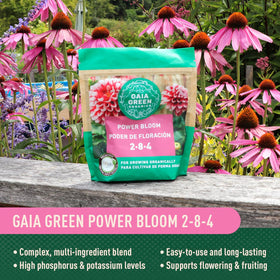 Gaia Green Power Bloom aids root development in diverse crops.