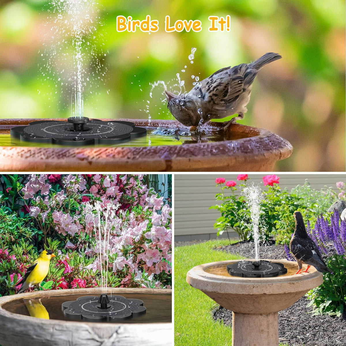 GAIZERL fountain setup shown as easy to install and start in sun.