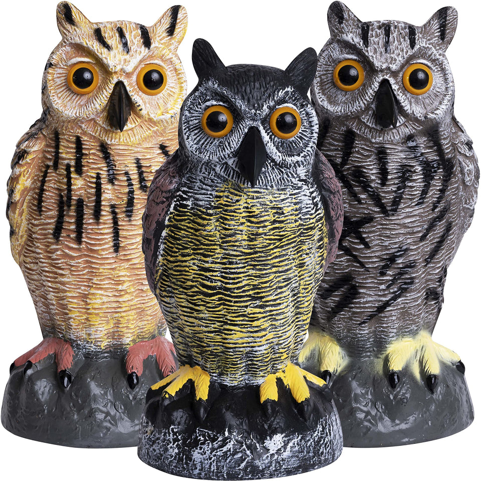 Galashield owl decoy set with multicolor finish deters garden birds.