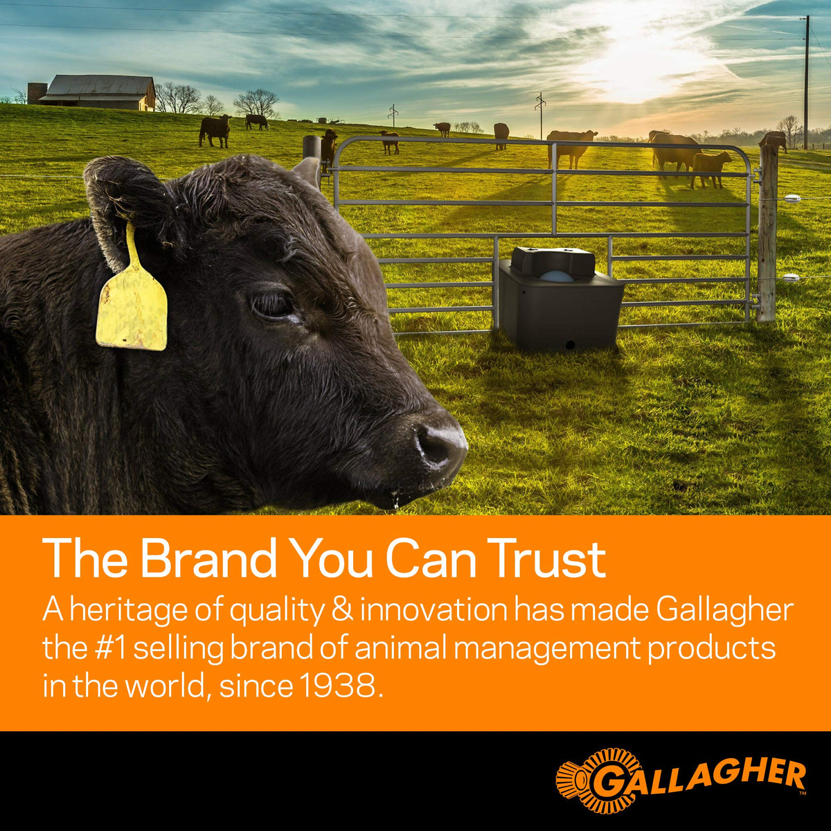 Gallagher replacement or upgrade leadset ensures continued fence operation.