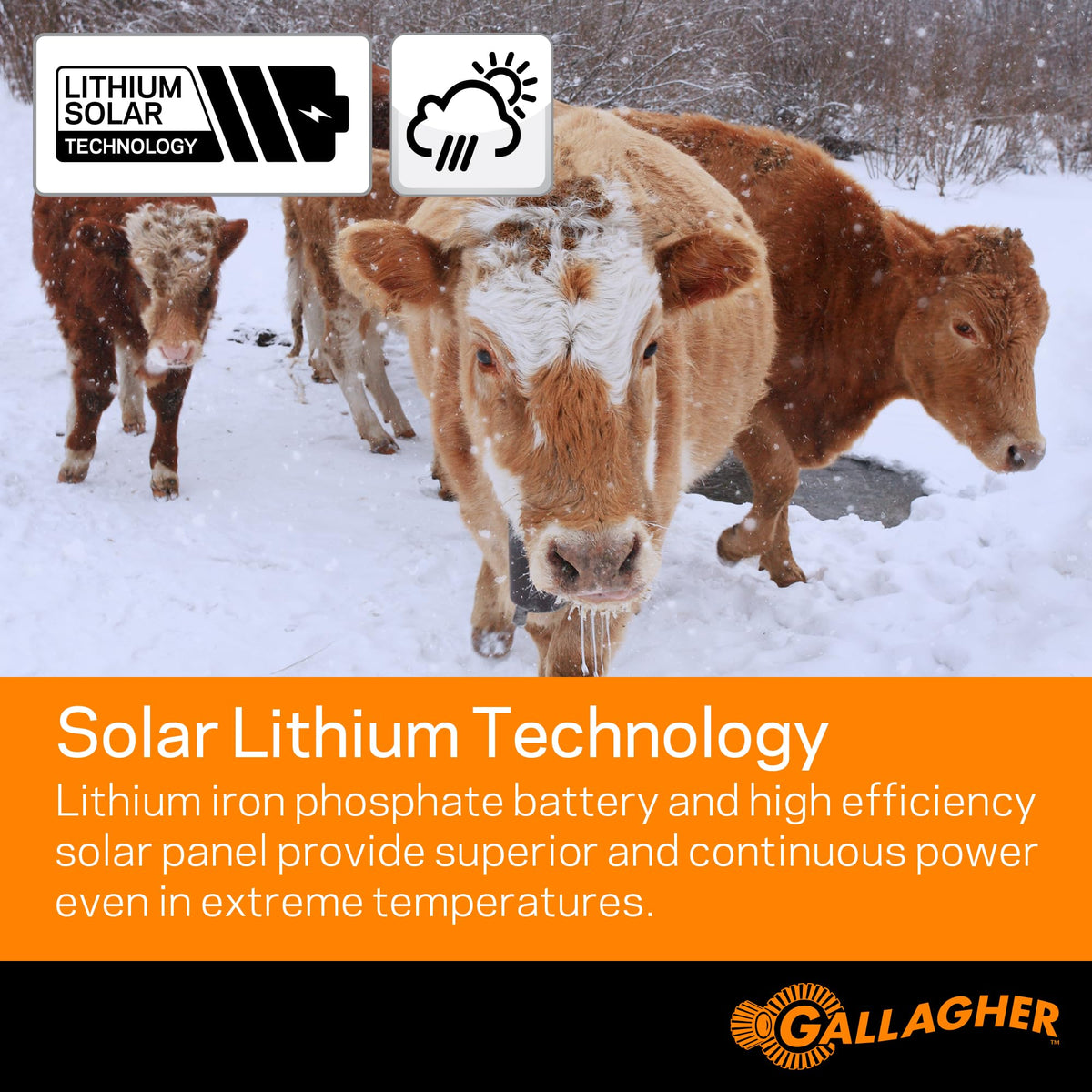 Durable Gallagher S20 enclosure protects components in extreme conditions.