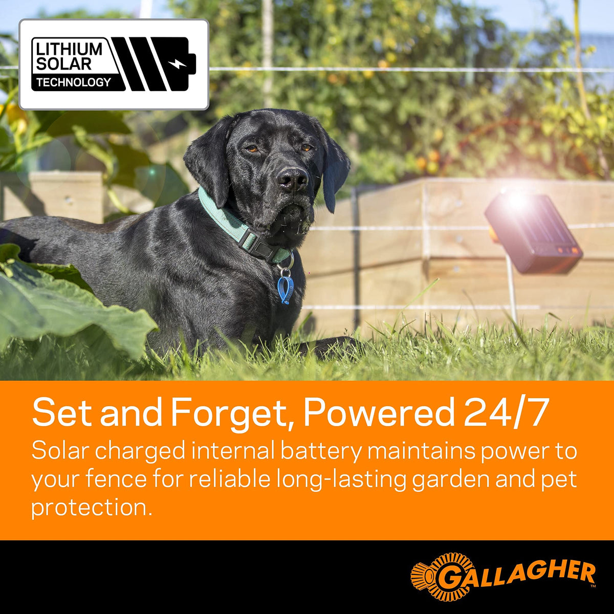 Gallagher S6 digital pulse control maintains fence voltage through vegetation.