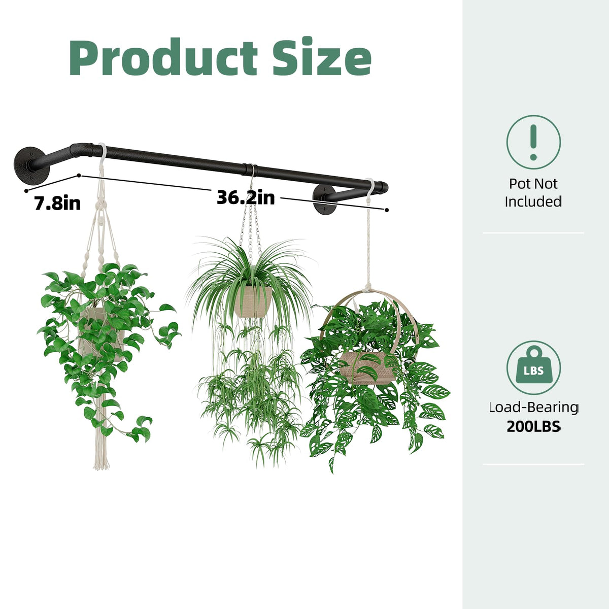 Galood space-saving indoor decor idea using a wall or ceiling mounted planter