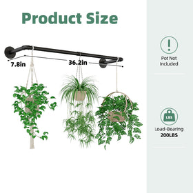 Galood space-saving indoor decor idea using a wall or ceiling mounted planter