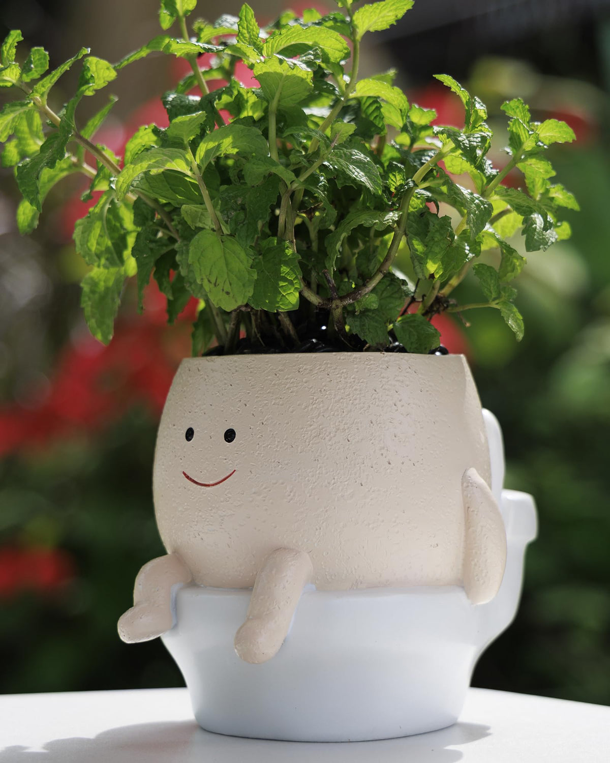 GaloTrek Smiley Face Planter front view for cheerful indoor decoration with easy drainage.