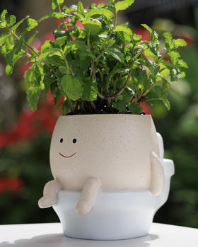 GaloTrek Smiley Face Planter front view for cheerful indoor decoration with easy drainage.