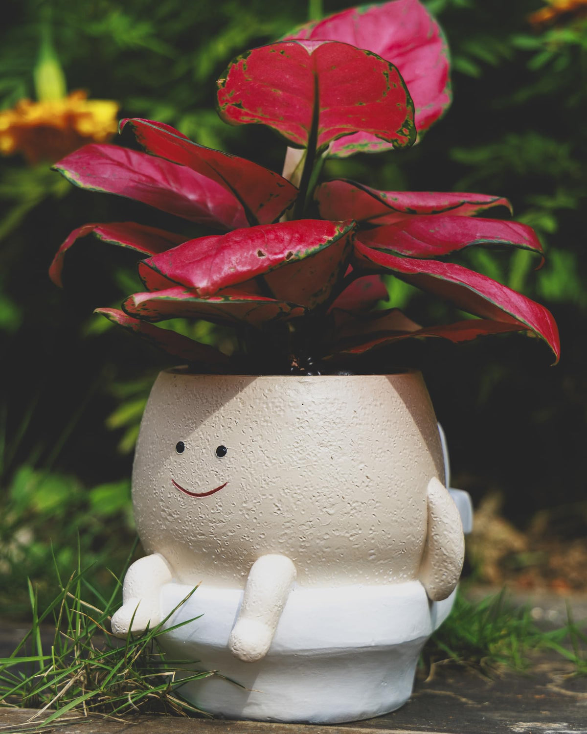 GaloTrek Smiley Face Planter indoor decor on shelf boosts playful ambiance.