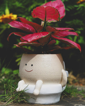 GaloTrek Smiley Face Planter indoor decor on shelf boosts playful ambiance.