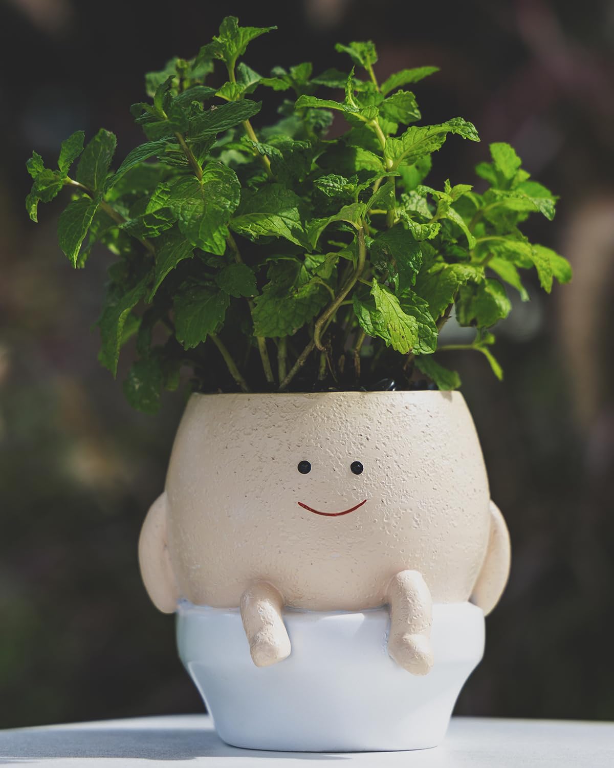 GaloTrek Smiley Face Planter large size fits bigger succulents and arrangements.