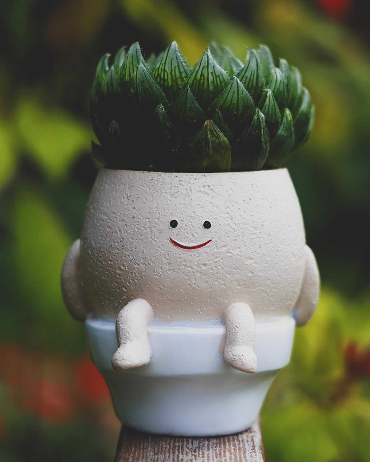 GaloTrek Smiley Face Planter small size perfect for desk plants.