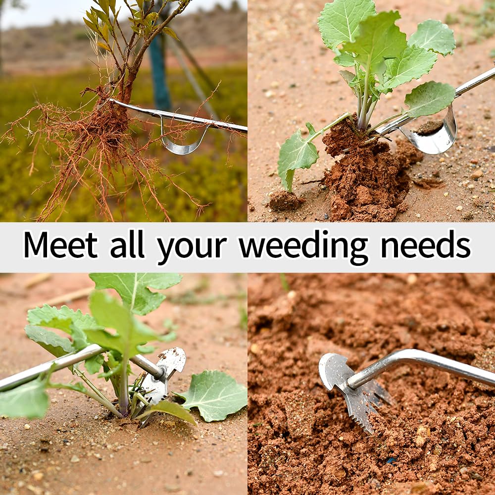 GANCHUN dandelion removal with this tool demonstrates effective weed control.