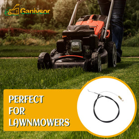 Ganivsor installation guide for easy replacement