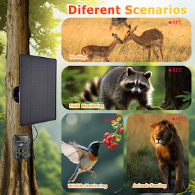 Ganjiuxingl hunting camera in sun with panel demonstrates hands-free charging.