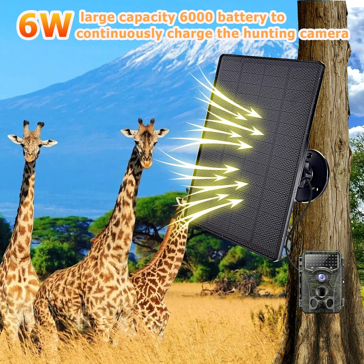 Ganjiuxingl universal plug and cable simplify setup for many camera brands.