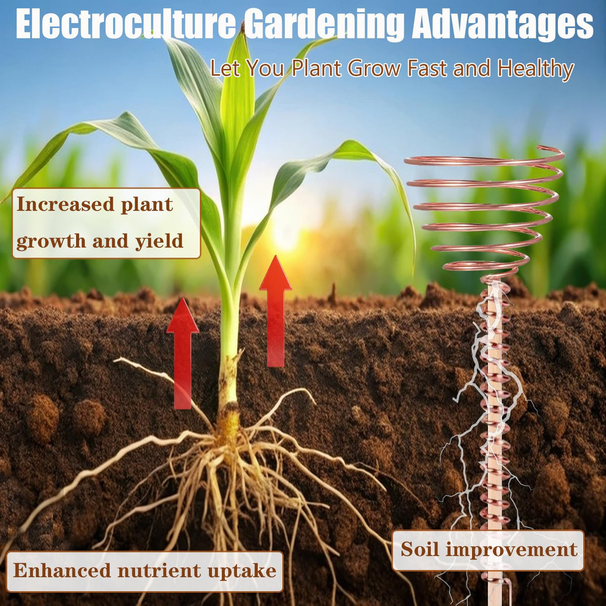 Gansita 11.8-inch wooden stake for sturdy plant setups.