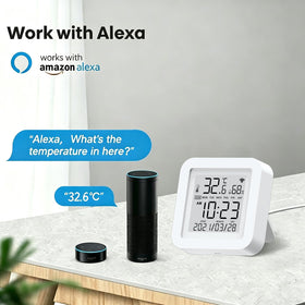 Gaoducash works with Alexa and Google Home for voice checks