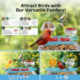 GAOYITK 140-degree wide-angle lens captures broad bird activity across the scene.