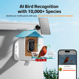 GAOYITK AI bird recognition display identifies visiting species in real time.