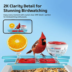 GAOYITK gift-ready bird feeder supports nature lovers with a thoughtful gift.