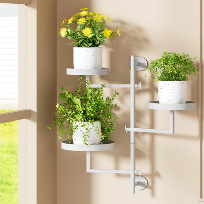 Gaoymsym rotating wall plant shelf shows a space-saving 3-tier display
