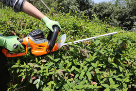 GARCARE hedge trimmer ideal for neat borders and lawn edging.