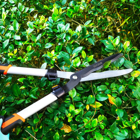 GARCARE lopper with 30-inch reach helps cut thicker branches safely.
