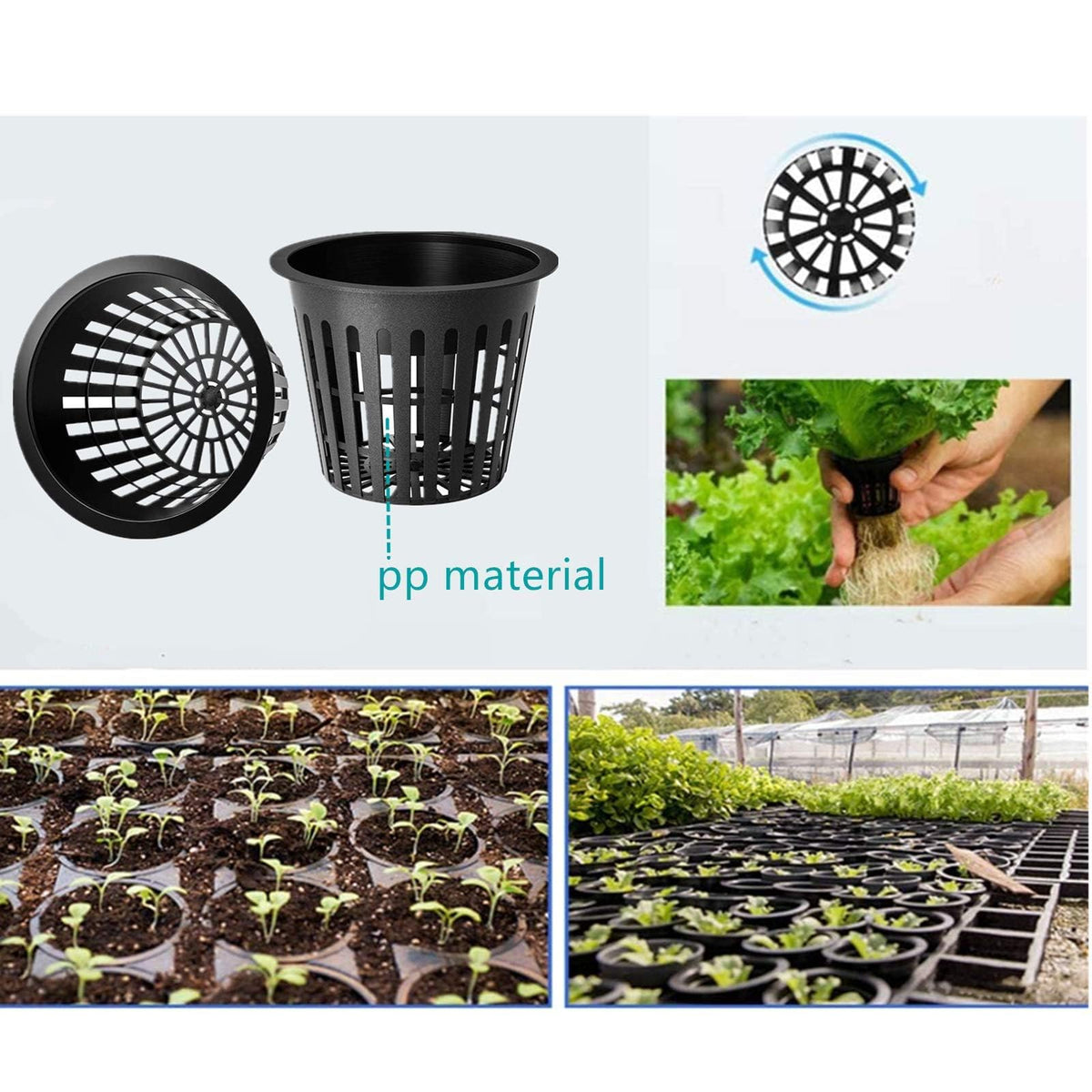 GardEasy orchid-friendly setup demonstrates optimal airflow around roots