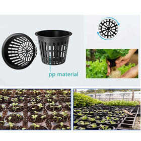 GardEasy orchid-friendly setup demonstrates optimal airflow around roots