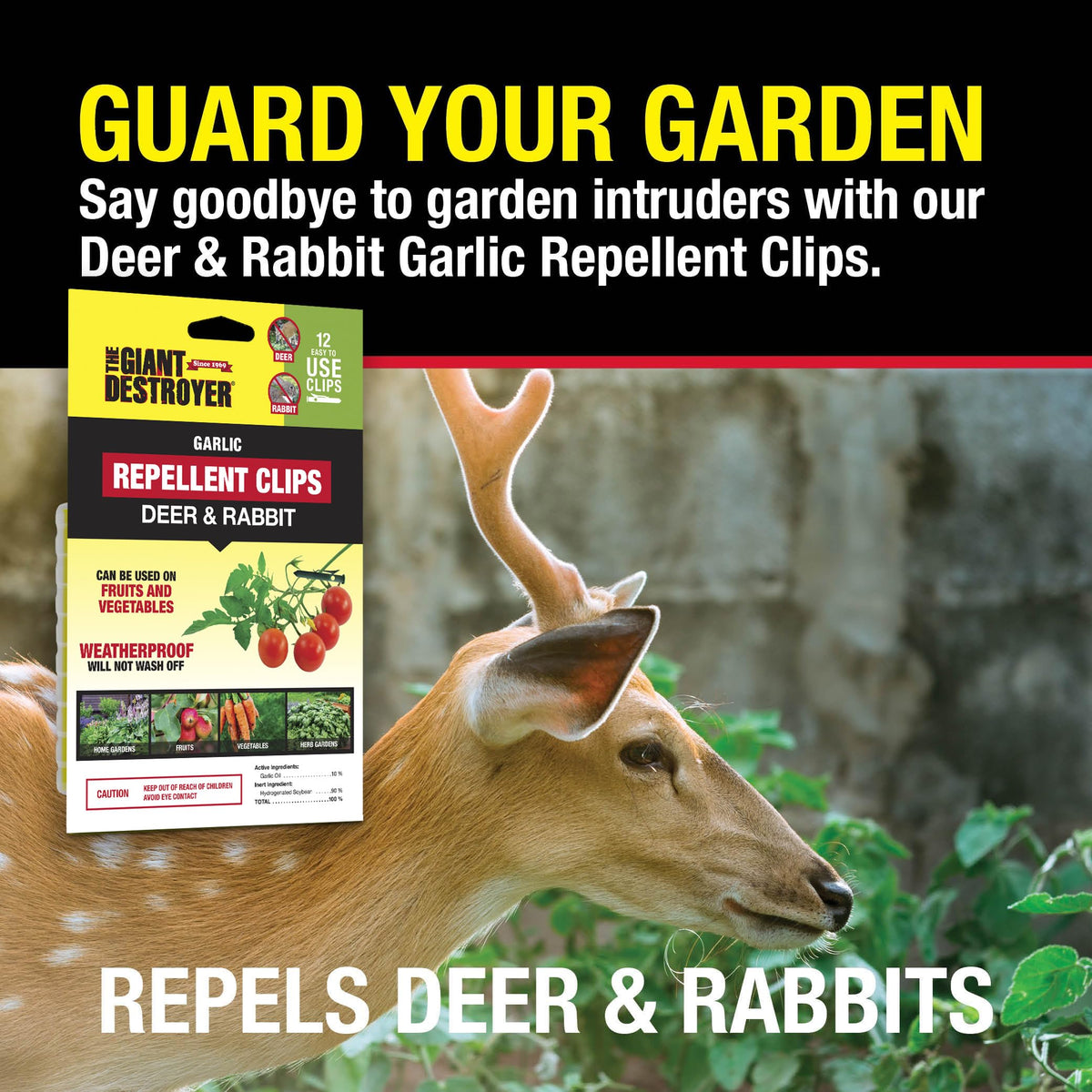Garden and tree protection setup using garlic repellent clips around ornamentals and fruit trees.