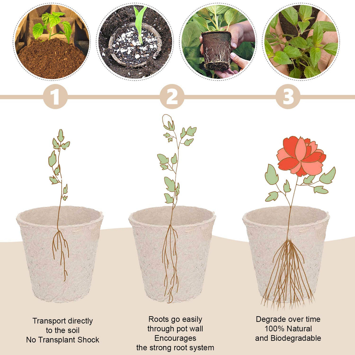 Garden Depot peat pots packaging shrink-wrap highlighting eco-friendly packaging