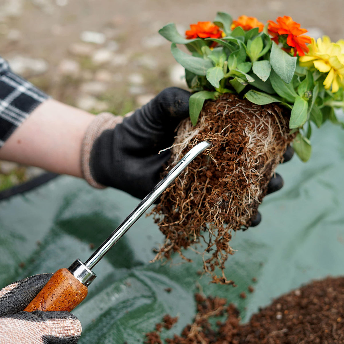 Garden Helper Root Hook handle grip with ergonomic birch wood for comfortable use