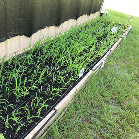 Garden Grid Manifold installation guide visual aids quick setup for several grids.